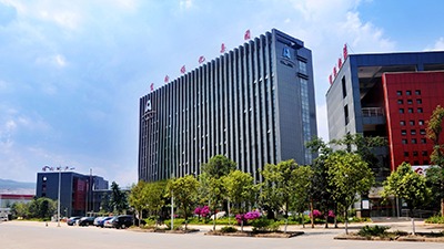 【专项行动】集团党委委员、副总经理施从伟到可保煤矿公司党委指导专题民主生活会